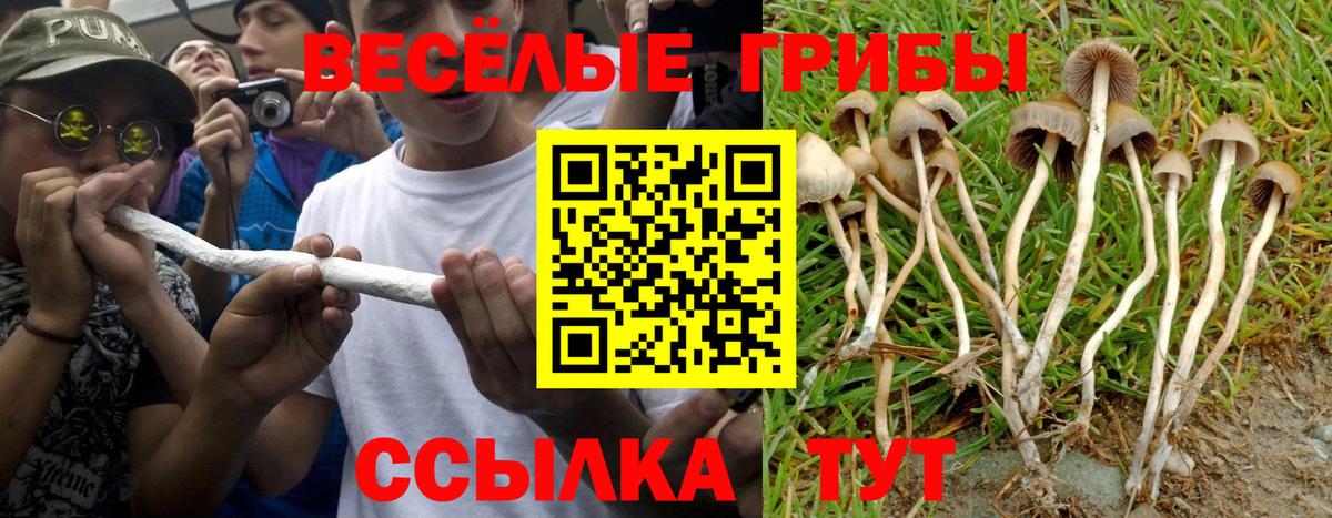 Псилоцибиновые грибы Cubensis Кушва
