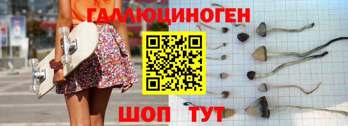 Псилоцибиновые грибы мухоморы  Вход с VPN  купить наркоту  Кушва 